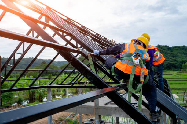 Best Roof Leak Repair  in Medicine Lodge, KS